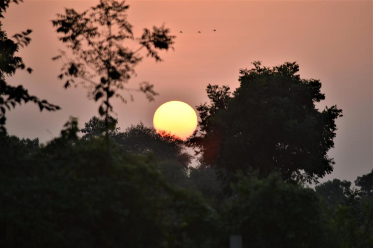 Ranthambhore Bagh Dwar Camp Khilchipur  ภายนอก รูปภาพ