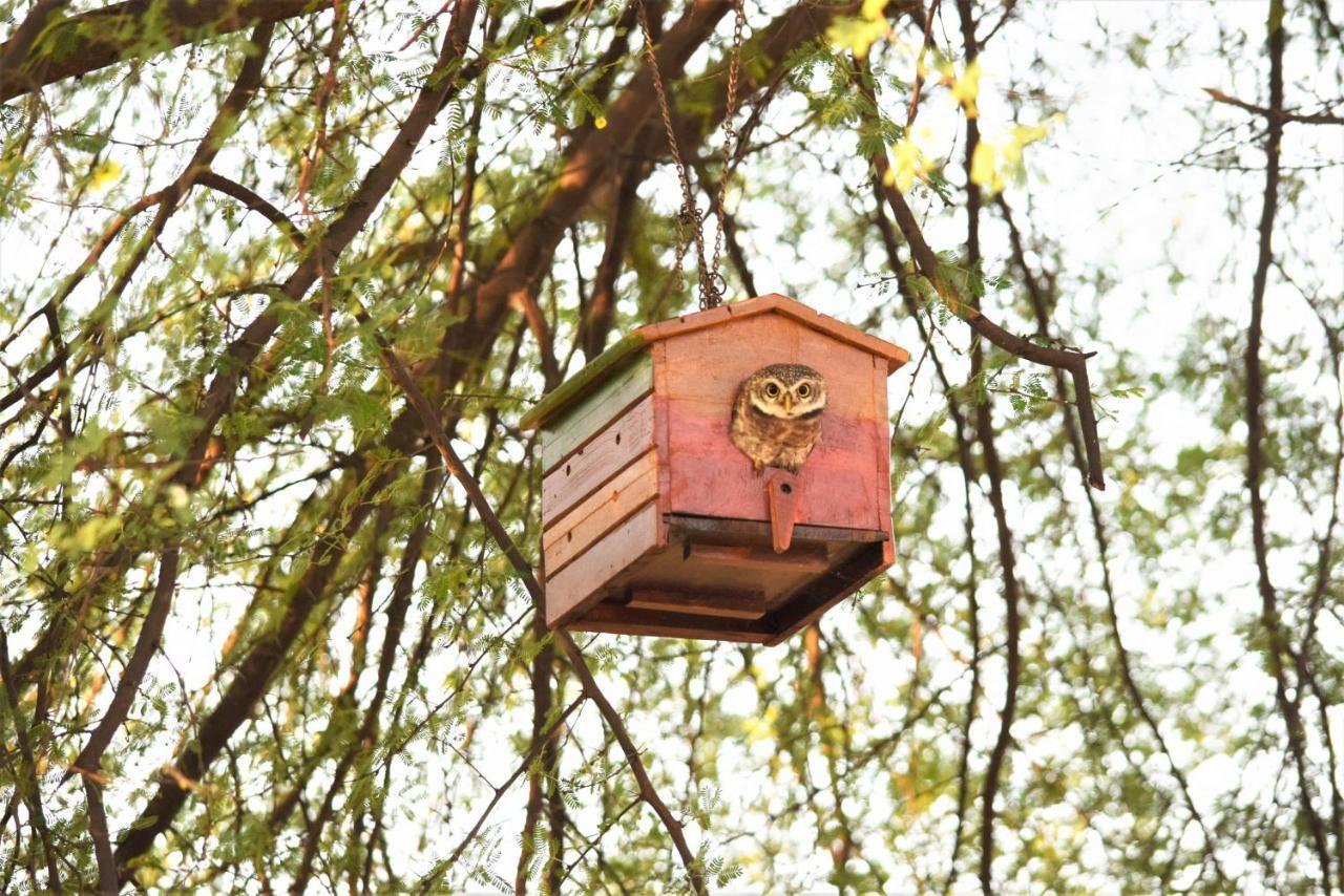 Ranthambhore Bagh Dwar Camp Khilchipur  ภายนอก รูปภาพ